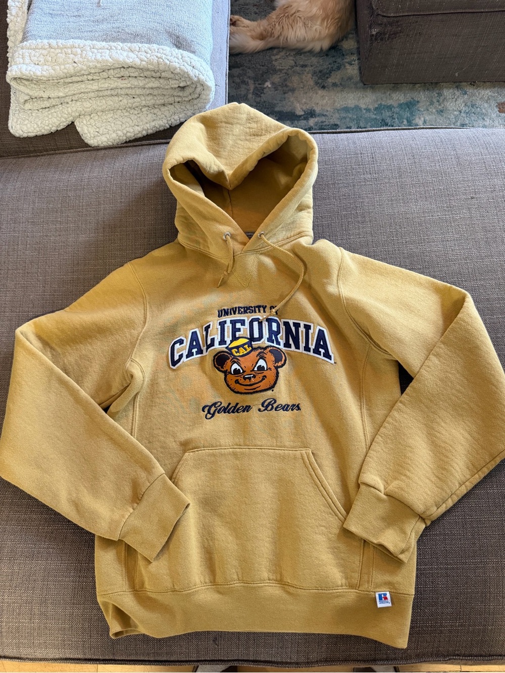 University of California Golden Bears Mustard Hooded Sweatshirt